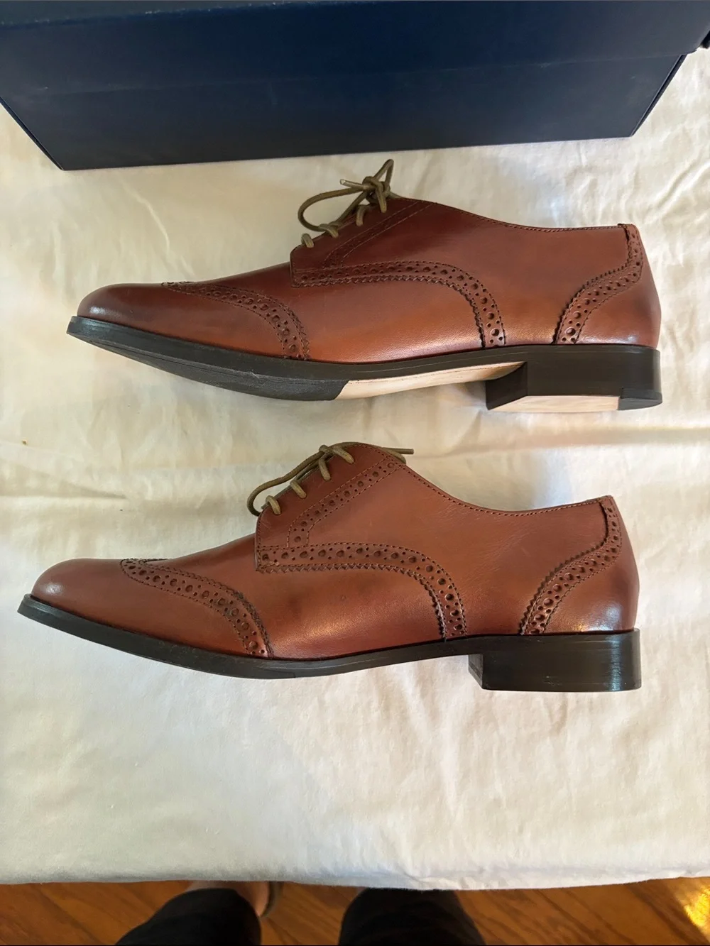 NEW IN BOX Womens Cole Haan Brown Leather Wingtip Derby Oxfords